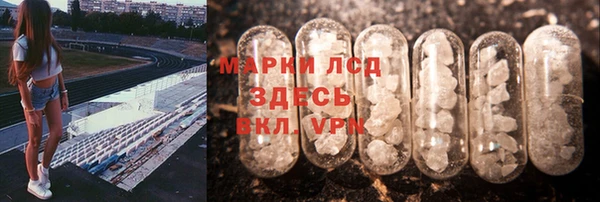 гашик Няндома