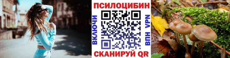 продажа наркотиков  Карпинск  кракен рабочий сайт  Псилоцибиновые грибы Magic Shrooms 