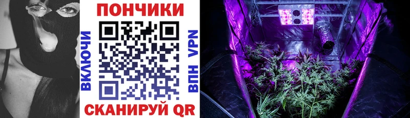 Конопля план  мега ТОР  Карпинск 
